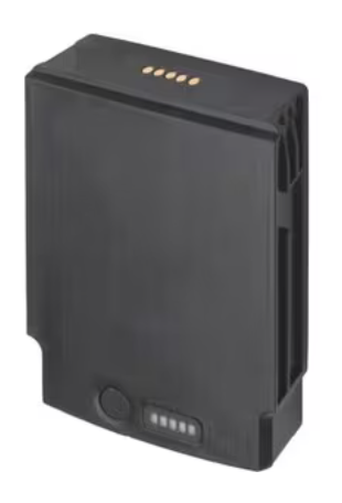 Zebra Batterie Secondaire