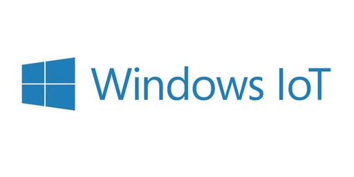 [MUV-00028] Windows 10 IoT Ent. LTSC Entry